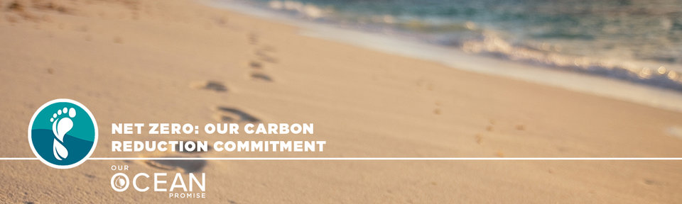 Net Zero: Our carbon reduction commitment 